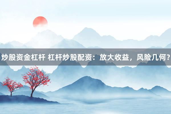 炒股资金杠杆 杠杆炒股配资：放大收益，风险几何？