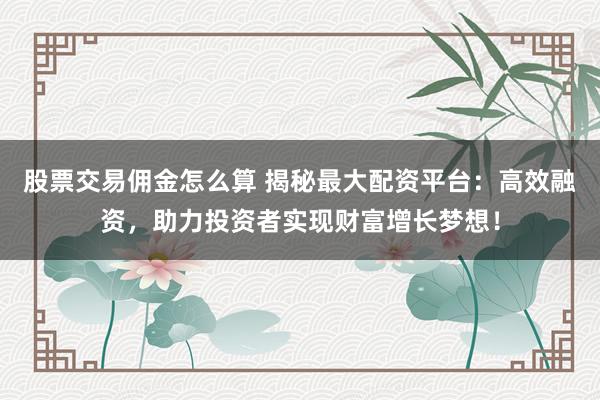 股票交易佣金怎么算 揭秘最大配资平台：高效融资，助力投资者实现财富增长梦想！