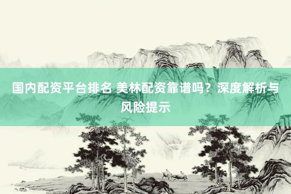 国内配资平台排名 美林配资靠谱吗？深度解析与风险提示