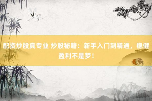 配资炒股真专业 炒股秘籍：新手入门到精通，稳健盈利不是梦！
