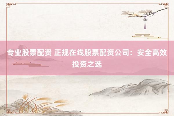 专业股票配资 正规在线股票配资公司：安全高效投资之选