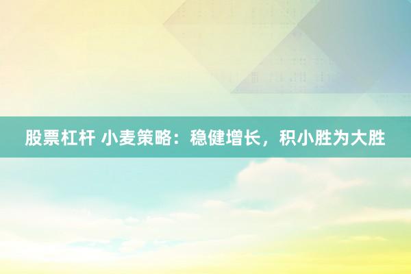 股票杠杆 小麦策略：稳健增长，积小胜为大胜