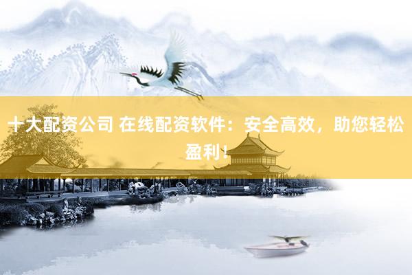 十大配资公司 在线配资软件：安全高效，助您轻松盈利！