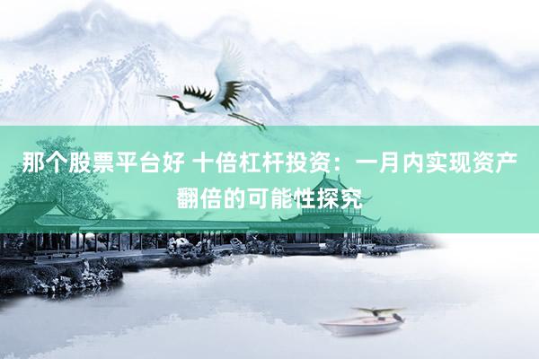 那个股票平台好 十倍杠杆投资：一月内实现资产翻倍的可能性探究